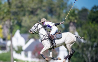 Cruising The Crags | Plettenberg Bay + Garden Route Tourism - Polo